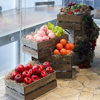 【撮影：田中聖太郎写真事務所】