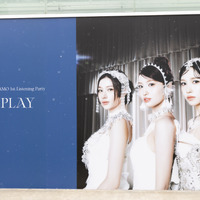 【撮影：田中聖太郎写真事務所】