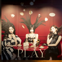 【撮影：田中聖太郎写真事務所】