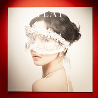 【撮影：田中聖太郎写真事務所】