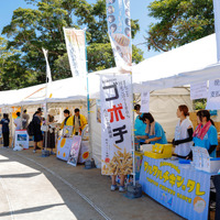 「ひなたフェス2024」の様子ⒸSeed & FlowerLLC