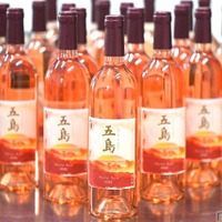 【五島ワイナリーの初挑戦！長崎県五島産ぶどう100%使用】限定ワイン「メルロー（ロゼ）2025」解禁