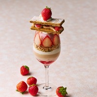 「lumiere(リュミエール)」　2,400円