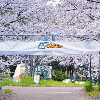 大阪城 森のバーベキュー