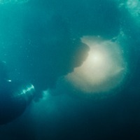 (C)2025-2026 Amazon Content Services LLC OR ITS AFFILIATES. (C)かわぐちかいじ／講談社