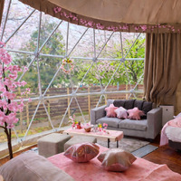 お花見グランピングプラン