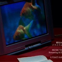 新曲『ドライフルーツ』