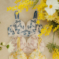 ナイスバディブラ