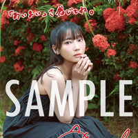 AKIHABARAゲーマーズ限定ブロマイド