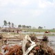 【地震】日本損害保険協会、東日本大震災の地震保険支払額を発表 画像