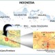 丸紅と東芝、インドネシアで地熱発電プロジェクトを受注 画像