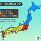 東京都、今日から本格的に花粉シーズン突入 画像