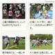 お祭り気分の家族大運動会　9月30日、10月7日 画像