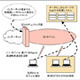 IIJとイー・モバイル、3月よりMVNOでのサービス開始〜「IIJモバイル/タイプE」で3G最速7.2Mbps 画像