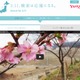 「3.11」をYahoo!検索すると、東北復興支援団体に寄付……Search for 3.11 画像
