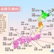 桜の開花予想、東京が全国に先駆けて開花 画像