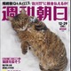 95年の歴史で初めて表紙が猫に！明日19日発売の「週刊朝日」は丸ごと一冊が猫だらけ 画像