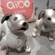 「ロボットペットはアリなのか？」たしかに犬っぽいAIBOに感心 画像