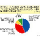 ネットでの個人情報流出は誰のせい？ 画像