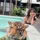 鈴木ふみ奈、虎とプールで　本物！？と衝撃ショット 画像