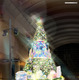 クイーンズスクエア横浜に“すみっコぐらし”のクリスマスツリーが登場！11月6日には点灯式も開催 画像