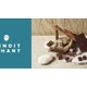 ウィーン老舗洋菓子舗のバレンタイン限定商品も！アトレ吉祥寺、2月2日から特別催事「ちょこ市」を開催！ 画像