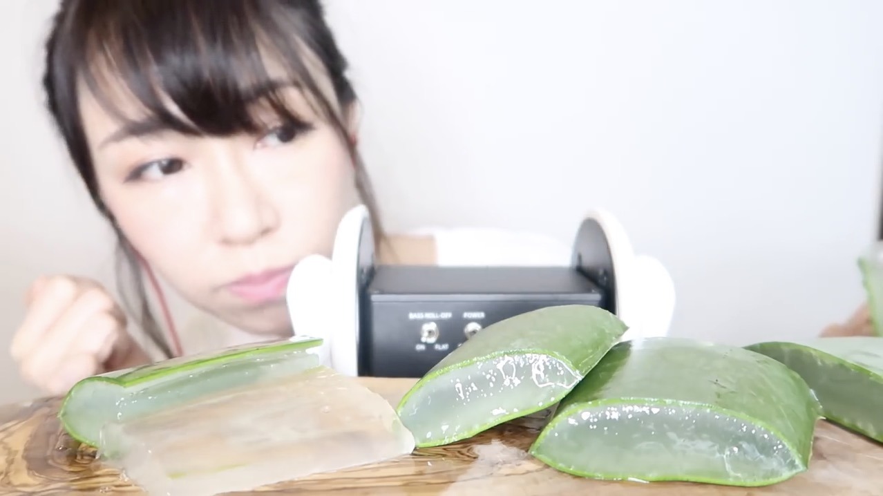 思わず癖になる 桜 稲垣早希の咀嚼音動画が話題 3枚目の写真 画像 Rbb Today 思わず癖になる 桜 稲垣早希の咀嚼音動画が話題 3枚目の写真 画像 Rbb Today