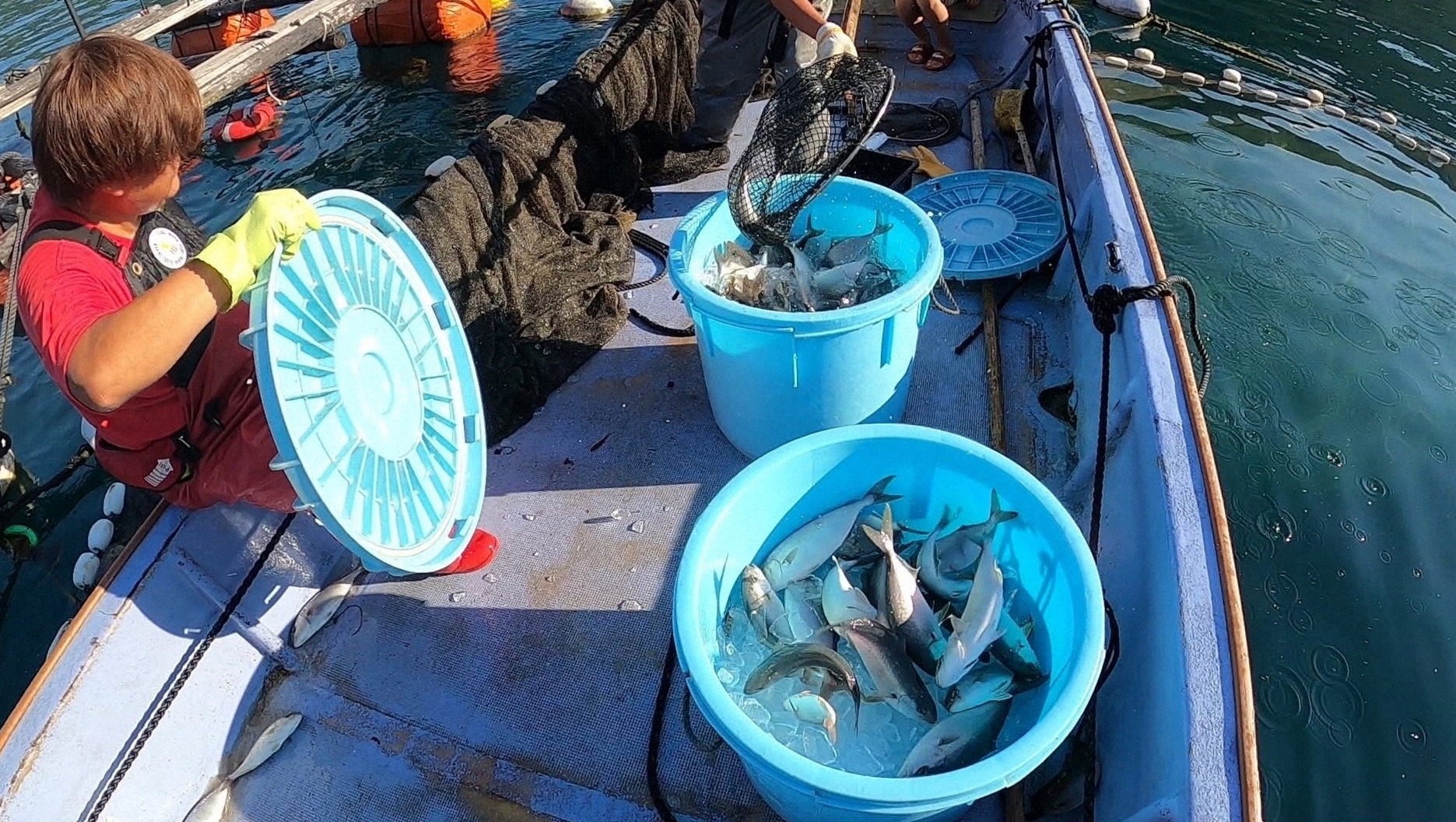 女性だけの漁師チームが挑むスマート漁業 魚をより確実に獲る ハイテク機器 Backstage 1枚目の写真 画像 Rbb Today