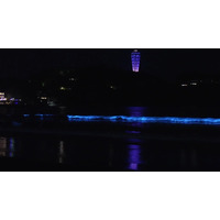 片瀬海岸西浜の夜光虫動画が話題！新江ノ島水族館公式がSNSに投稿
