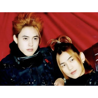 19歳で死去、親知らずを抜いて敗血症に感染…若くした亡くなったK-POPアイドルの26回忌