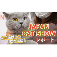 【JAPAN CAT SHOW 2022】200頭以上が集結！「キャットショーエキシビジョン」で1位となった猫は？