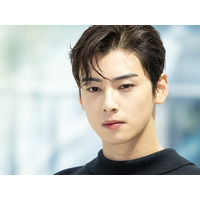 どこまで落ちていくのか　200億ウォン脱税疑惑のチャウヌ、軍での役割見直しを求める苦情まで登場