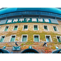 春のセンバツ甲子園2026、出場校32校が決定！初出場は帝京長岡・高知農