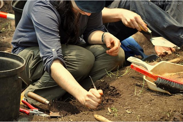 南ア洞穴での猿人化石の新種発見、Google Earthが貢献 ～ 195万年前のヒト属祖先か 画像