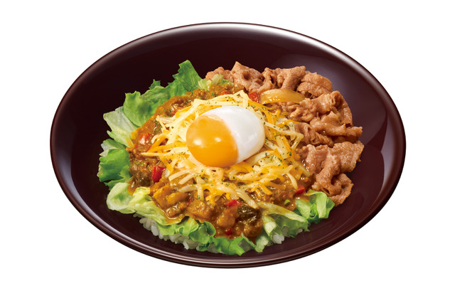 すき家、28日より「スパイシーキーマカレー丼」販売！鶏・豚・大豆ミート使用で食べ応え抜群 画像