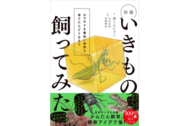 登録者46万人超の生き物系YouTuber・森こんにゃくの初書籍が発売！Amazonランキング1位獲得 画像