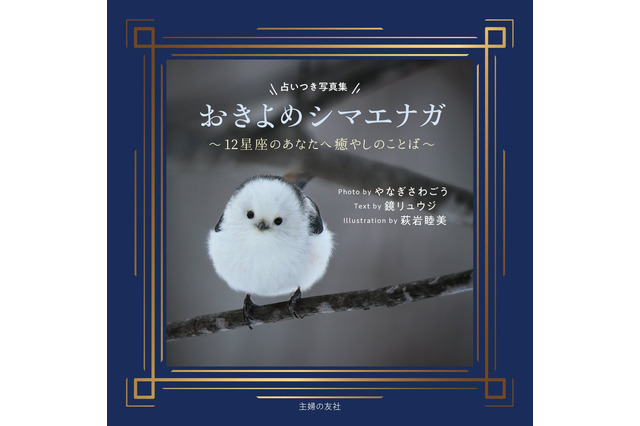 シマエナガ写真と12星座占いが一冊に、主婦の友社が11月2日発売 画像
