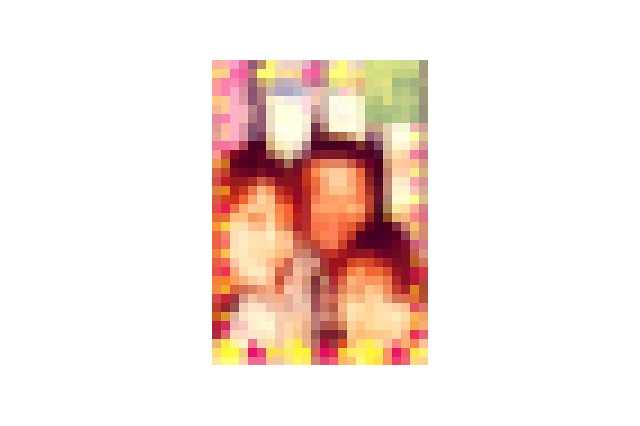 女子高校生の約3分の1、自分の写真をネットにアップした経験……マカフィー調べ 画像