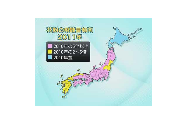 来年のスギ花粉、関東は今年の7～8倍、近畿では10倍という予想 画像