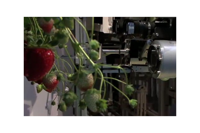 【第4回 ロボット大賞】イチゴの熟度を自動判定し収穫するイチゴ収穫ロボット 画像