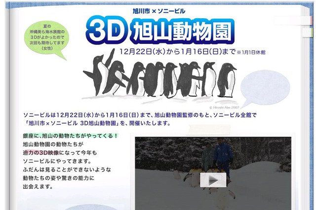 旭山動物園を大画面3Dで楽しむ! 画像