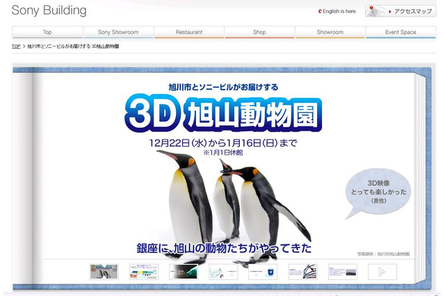 野生に近い動物の姿を大画面3Dで！……3D旭山動物園が銀座ソニービルで今日から開催 画像