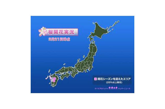 “春まだ遠し”桜の開花遅れ気味、上野公園も1週間遅れの30日開花予想 画像