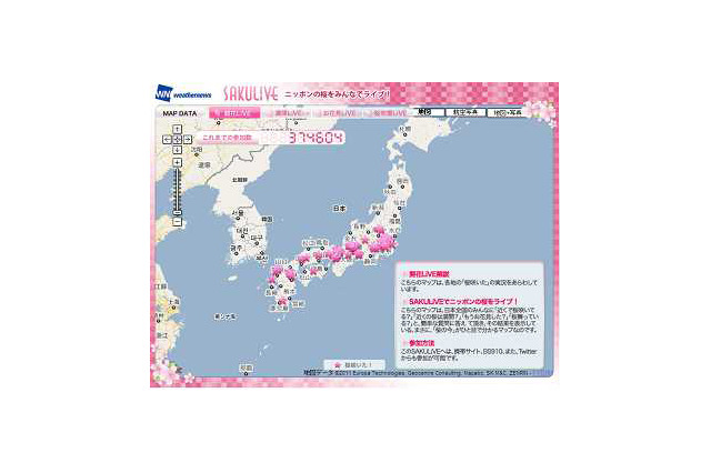 全国の桜の開花状況をリアルタイムで提供……ウェザーニューズの「SAKULiVE」 画像