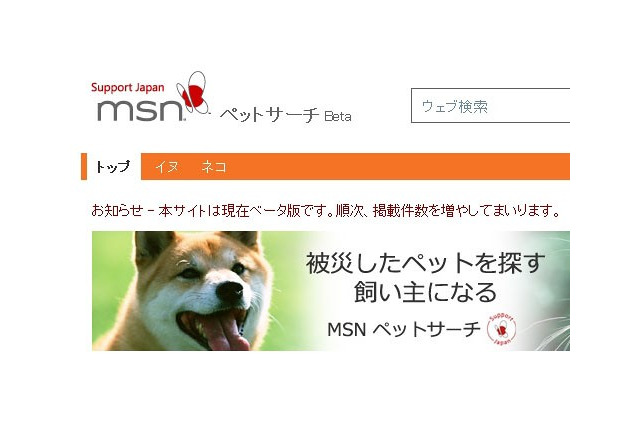 【地震】日本マイクロソフト、被災したペットを助ける「MSNペットサーチ」公開 画像