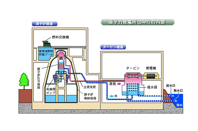 【地震】東電、4号機使用済み燃料プールの映像公開 画像