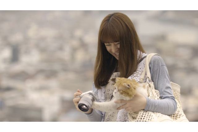 北川景子が愛猫に笑顔……新CM&特別映像を先行公開 画像