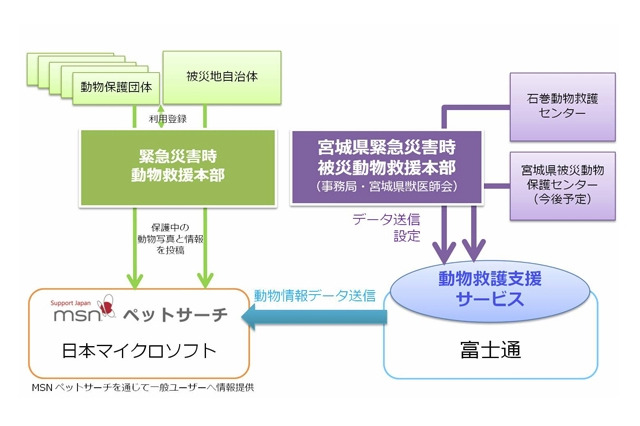 【地震】日本マイクロソフトと富士通、被災ペットの情報公開でシステム連携 画像