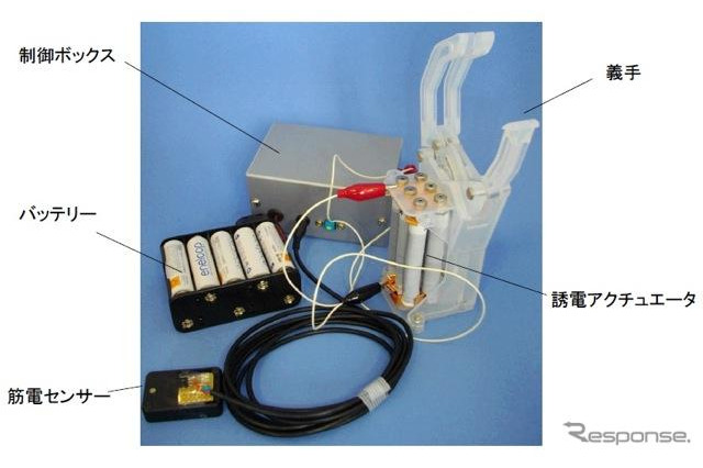 低電圧で駆動する義手、誘電アクチュエーターを組み込む　豊田合成など 画像