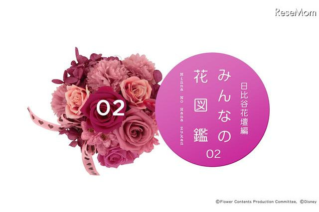 ドコモのAndroid向け図鑑アプリに日比谷花壇の季節のお花 画像